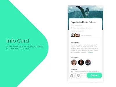 Info Card / DailyUI challenge #45 adobe adobexd appdesign application design designer sea seal typography ui design ux uxdesign whale whales