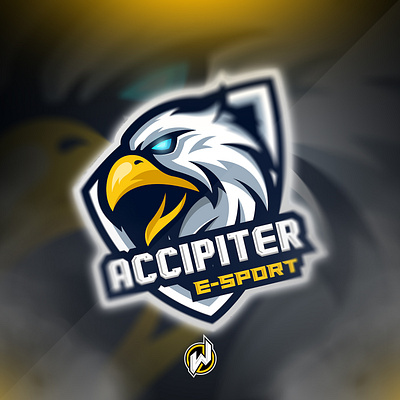 ACCIPITER E-SPORT animation design esport logo gamer gaming icon identity illustration logo logo esport vector