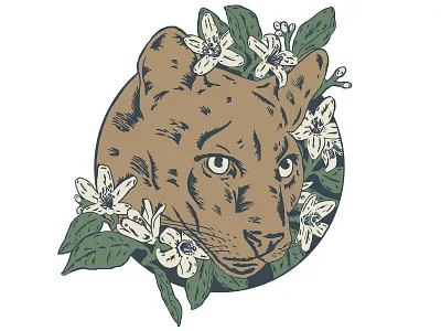 Florida Panther big cat drawing floral florida flower illustration orange blossom panther wild cat wildlife