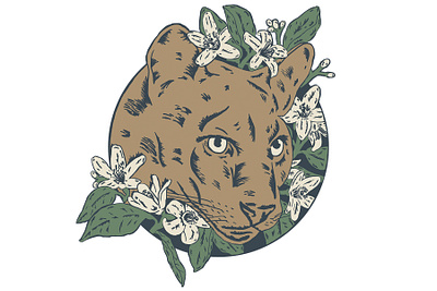 Florida Panther big cat drawing floral florida flower illustration orange blossom panther wild cat wildlife