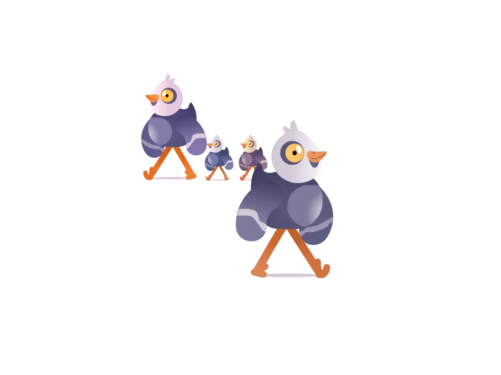 Walking Pigeon animal animated animation animation 2d bird flat gif illustration minimal pigeon purple stupid pigeon vector walk walking