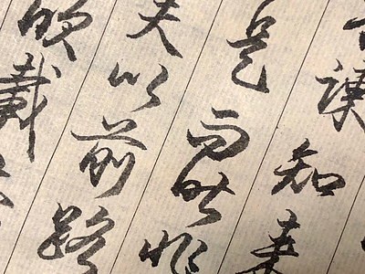 书法日课 书法 日课 chinese calligraphy