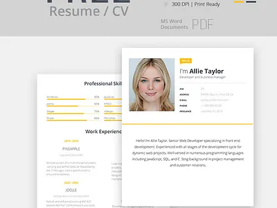 Free Resume Template creative cv freebie modern pdf photoshop psd resume skills template word