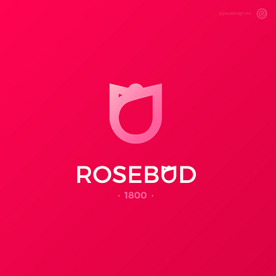 Rosebud flowers rosebud thirtylogoschallenge