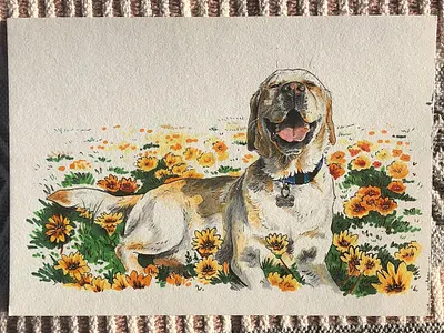 Nelson animal copic markers copicmarkers copics design dog illustration illustration labrador pet portrait