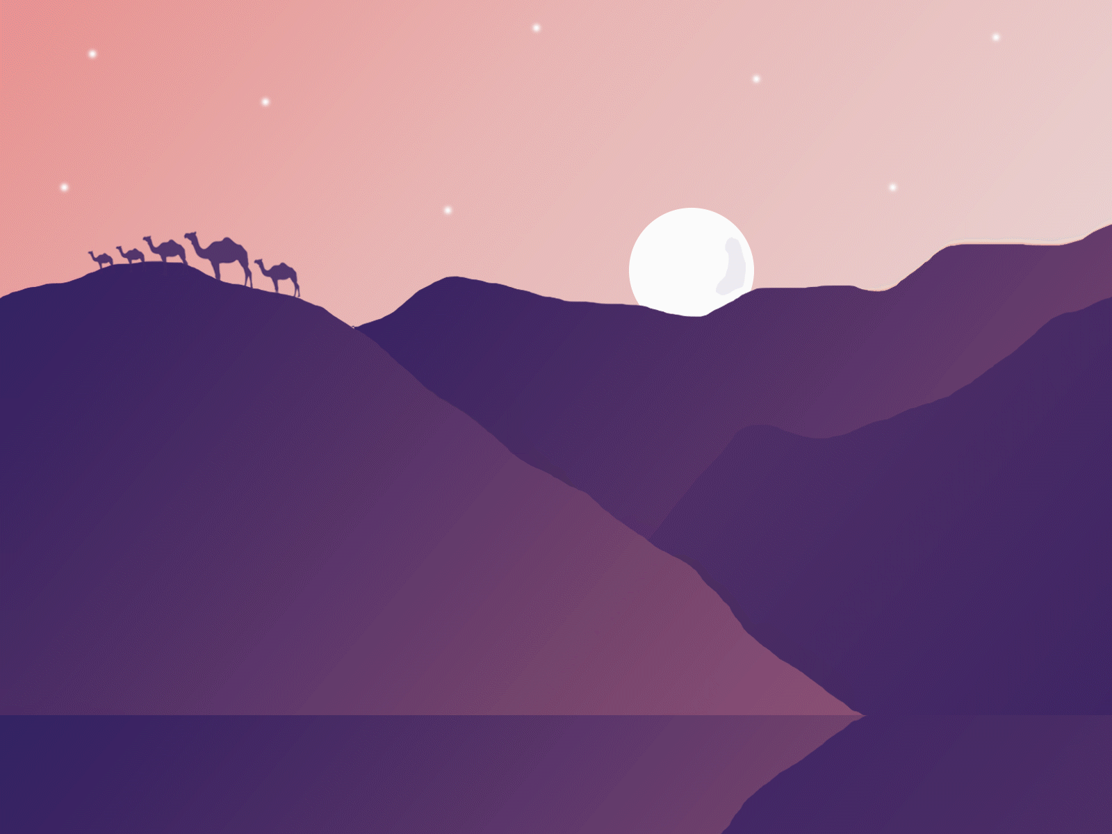 Desert Night Illustration adobe photoshop animated gif animation branding design dessert dribbble first illustration illustration art illustrator moon night stars vector