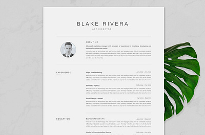 Resume Template / CV clean resume creative resume curriculum vitae cv template download free modern modern resume professional resume resume template template templatedesign