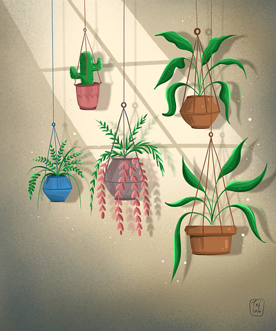 Plant Illustrations doodle drawing illustration art interactions nature natureart ui vector visual designs