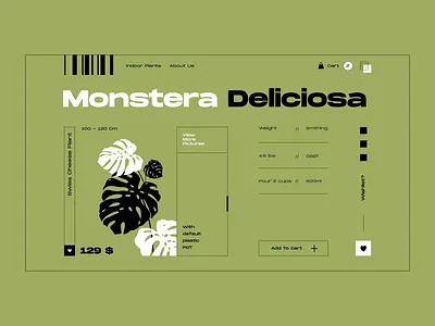 Layout #1 / Plant Shop animation color design illustration plant shop ui ux vector web