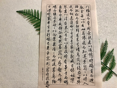 书法日课 书法 日课 手写 chinese calligraphy