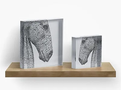 The Kelpies Sculpture - acrylic blocks art black and white interior decor photography print scotland sculpture