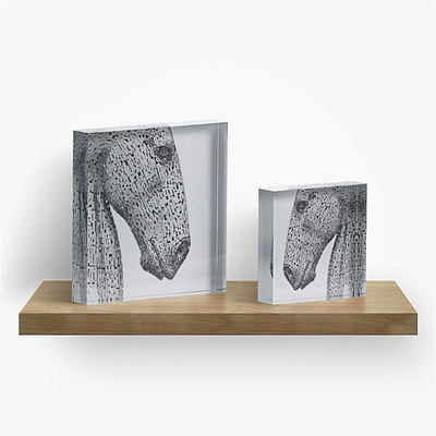 The Kelpies Sculpture - acrylic blocks art black and white interior decor photography print scotland sculpture