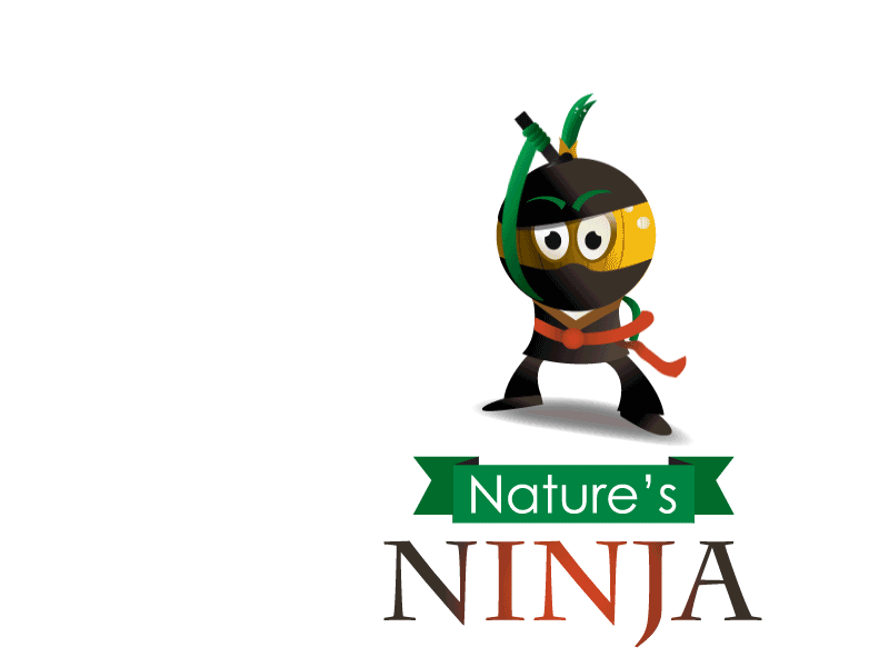 Ninja Sword 2d Logo Animation 2d animation 2danimation after effects after effects animation animated logo animated type logo animation motion design motion graphics motiongraphics sword swipe