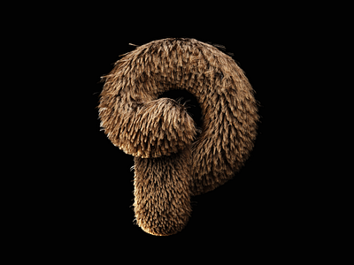 Letter P 3d design 3d type 3d typography branding cinema 4d custom lettering custom type daily challange fur hair simulation hand drawn handlettering illustration letter p lettering lettering artist logo design script typography vector