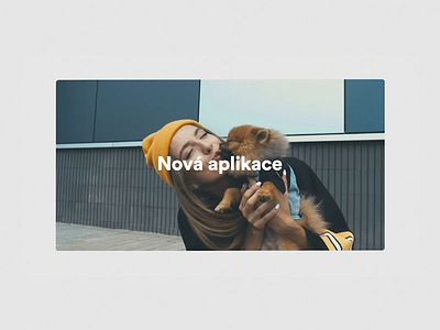 Mobile App Promo video 2020 animal animals animated animation aplication app design app ui branding campaign dog pet promo ux uxui video vlack website websites white