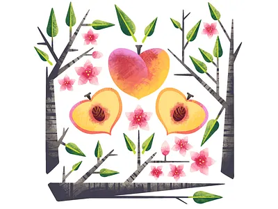 Peach botanical art botanical illustration flowers fruit fruit illustration illustration illustration art illustrations leaves peach peaches procreate tree