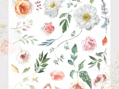 Botanical Watercolor Floral set botanical bouquet bundle clipart elegant floral flower frames illustration luxury modern peony pink spring summer wedding