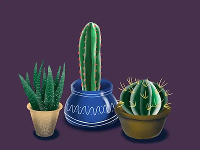 cacti! cactus digital art illustration procreate procreate art procreateapp