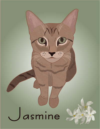 Jasmine adobe illustrator cat digital digitalart drawing illustrator illustrator design jasmine