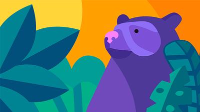 Oso de anteojos bear illustration mural