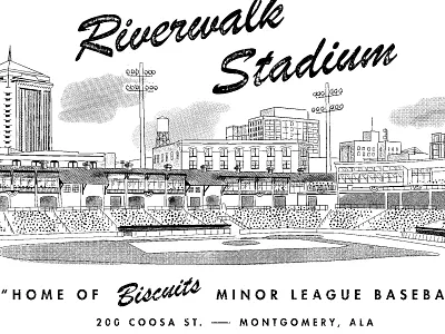 Biscuits Minor League Baseball Tee baseball brush script halftones illustration t shirt