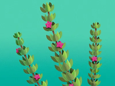 An Illustrated Tribute to the Most Endangered Plant in Every U.S endangered species illustration plants usa