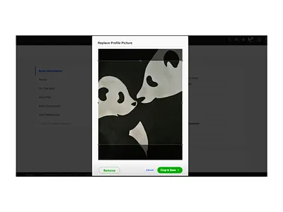 088 daily 100 challenge dailyui dailyui088 dailyuichallenge ui ux zomato