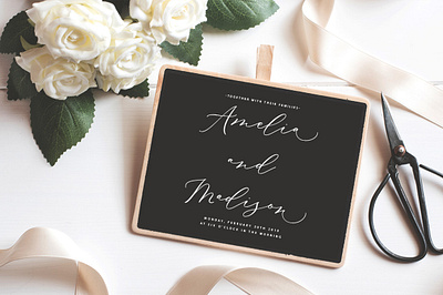 Save The Date Biancha Script branding branding design elegant font fonts handwritten invitation lettering lookbook modern wedding wedding invitation