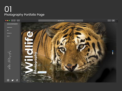Photography portfolio page design landing page photography portfolio ui user inteface web web design website