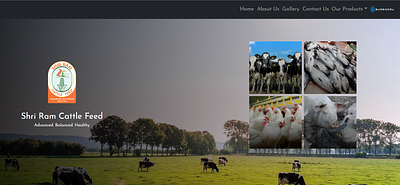 src branding cattle website creativity design logo ui ux web website