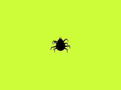 Funky bugs animation bug flat gif illustration loop minimal pattern simple tick