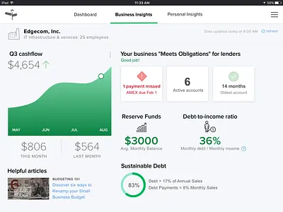 Tablet App for Business Financial Health mobile app mobile app design sketch user experience user interface ux ux design