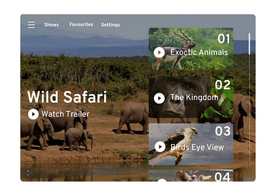 Video Player animals dailyui dailyuichallenge design episodes figma nature safari shows ui uidesign video video player