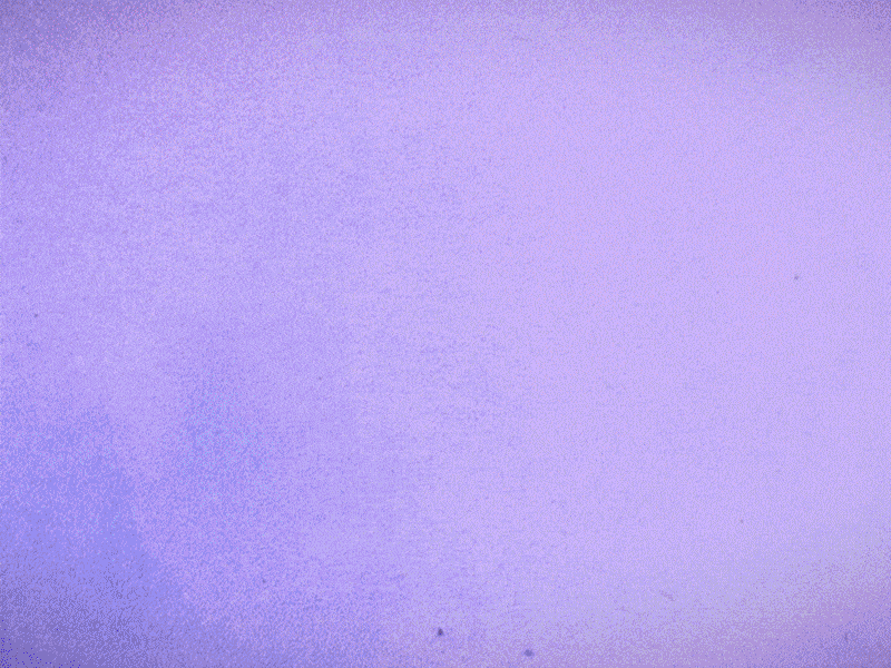 HOW I STARTED THE YEAR animation character animation character design design illustration