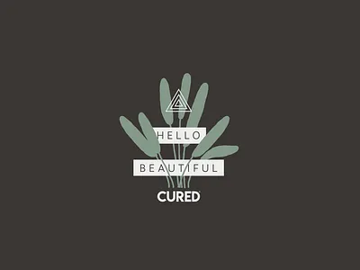 Hello Beautiful beautiful branding color color study design digital drawing digital illustration geometry hello illustration inspiration organic palm plant