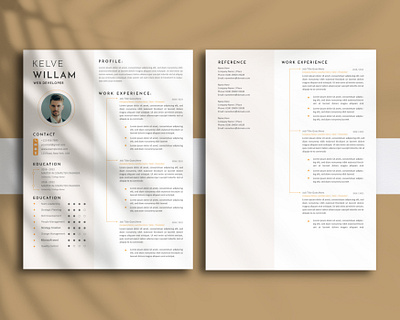 Resume Template MS Word CV Template Professional digital resume