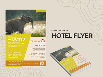 Hotel Flyer brochure design flyer graphic design illustration minimal