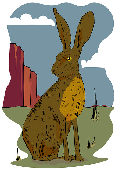 Jack Rabbit illustration