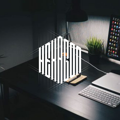 HEXAGON logo design app branding design design logo icon lettering logo minimal vector web
