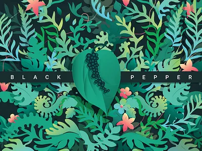 black pepper adobe branding design digital illustrator pack package design