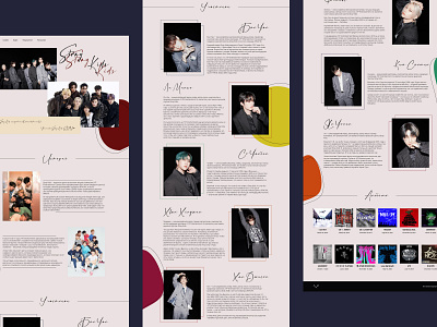 Biography Stray Kids design graphic design ui ux