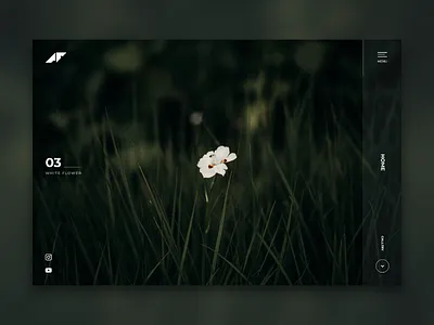 Personal Gallery for Photographer gallery landing page photograph photographer photography ui web design website