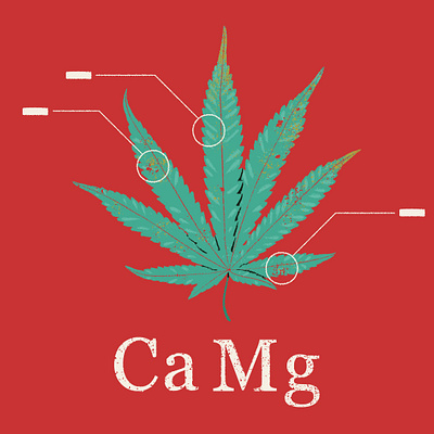 Calcium Magnesium Nitrate+ branding cannabis grain label leaf logo texture weed