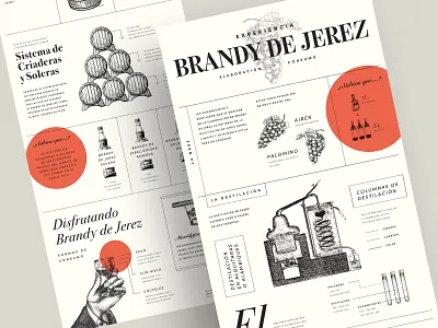 Brandy de Jerez Infographic alcohol brandy data visualization data viz editorial editorial design editorial illustration illustration infograph infographic infographic design information design liquor process vintage vintage illustration