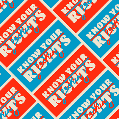 Know Your F*cking Rights Branding handlettering lettering type type art type design typedesign typography