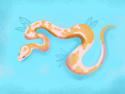 Snake drawing illustration ipad art procreate python sketch snake