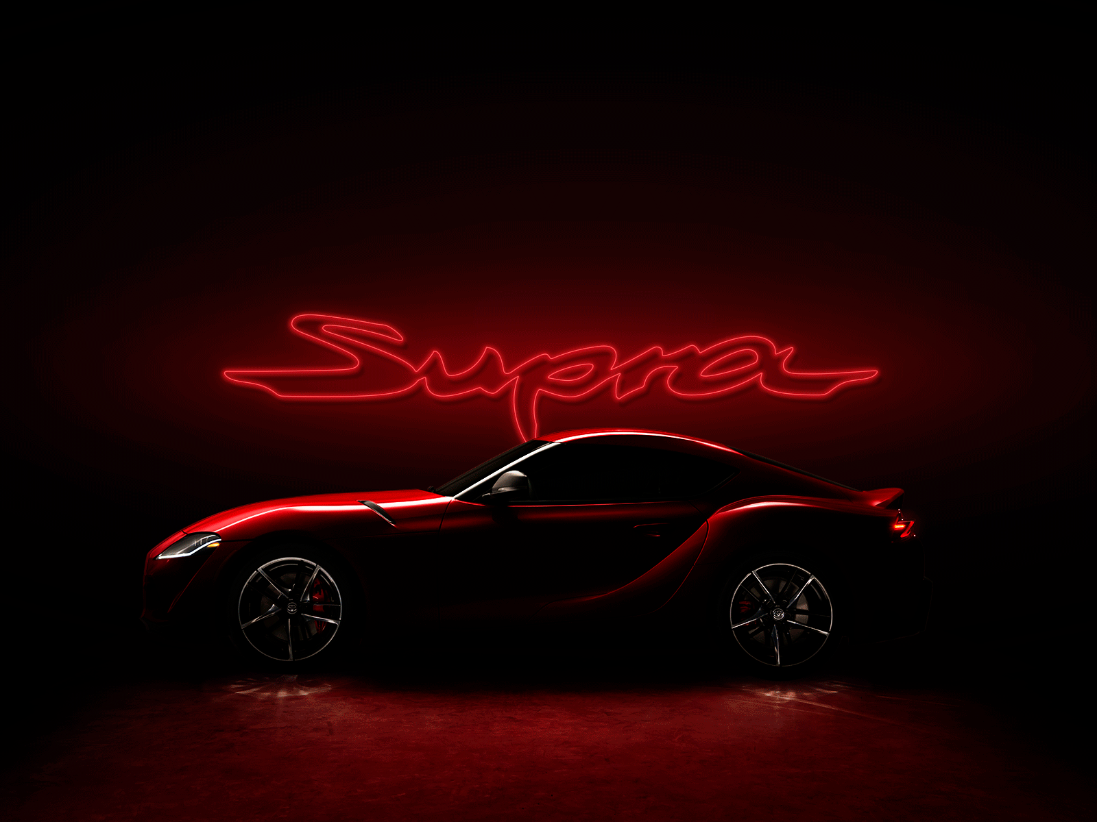 Supra Neon Sign animation branding design graphic design illustration social media typography web