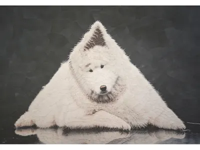 Edwin canine collage dog dog portrait dogs illustration paper traingle triangular