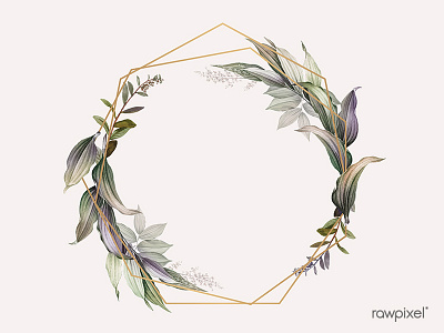 Tropical botanical frame design vector background botanical illustration vector