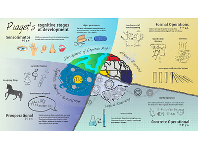 Piaget's Cognitive Stages of Development brain education illustration piaget psychology vector